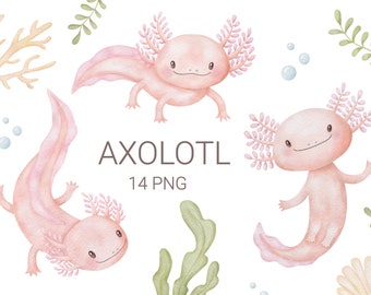 Watercolor Axolotl Clipart, Nursery Decor for Boys and Girls, Baby Wall Art, Cute Animals Illustration