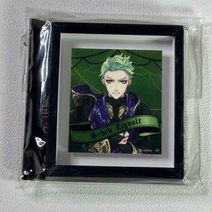 May include: A framed illustration of a green-haired character with a black and purple outfit. The character is holding a staff and has a green banner with the text "Sebek Zigvolt" in front of them.