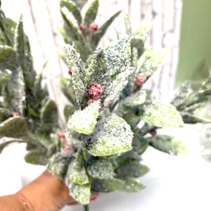 Puede incluir: Un ramo de vegetaci&oacute;n artificial con hojas verdes y peque&ntilde;as bayas rojas. Las hojas est&aacute;n espolvoreadas con una sustancia blanca y brillante, d&aacute;ndoles una apariencia helada. Los tallos son verdes.