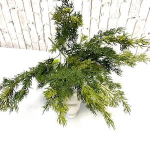 Christmas Cedar Greenery Bush