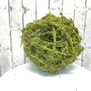 May include: A round ball of preserved green moss, perfect for adding a touch of nature to your home decor.
