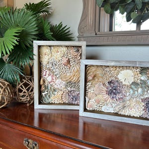 Shell Mosaic Pair