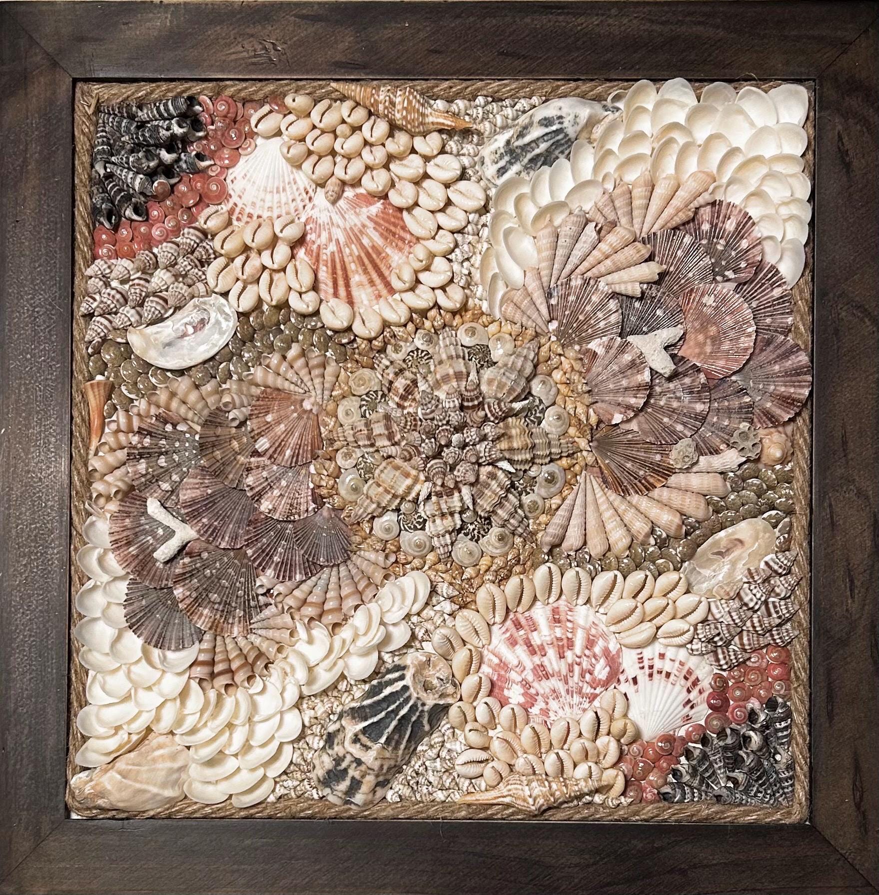 Shell Mosaic Designs Shell Mosaic - Etsy