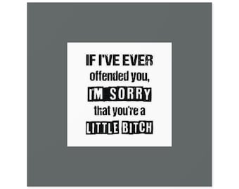 If I've ever offended you I'm sorry your a little bitch, funny sticker, hilarious vinyl decal, sarcastic show of love, it's not me it's you