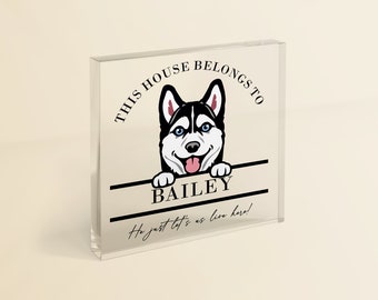 May include: A white square acrylic block with a black and white cartoon husky dog peeking over the top. The text "This house belongs to Bailey" is printed on the block. The text "He just lets us live here!" is printed below the dog.