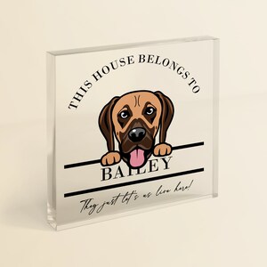 Great Dane Owner Gift | &#39;This House Belongs To The Dog&#39; Personalised Great Dane Dog Decor Keepsake for Dog Owner