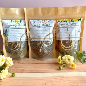 Spring Collection Simmer Pot Kits - Stovetop Potpourri - Dried Fruits, Spices, Herbs - Individual Kit