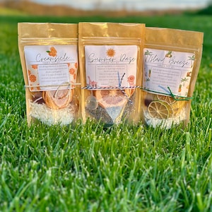 Summer Collection Simmer Pot Kits - Stovetop Potpourri - Dried Fruits, Spices, Herbs-Summer, Summertime - Individual Kit