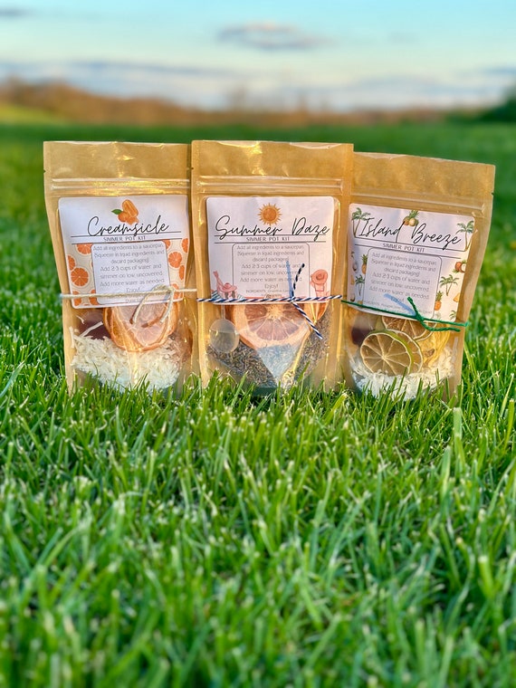 Summer Collection Simmer Pot Kits - Stovetop Potpourri - Dried Fruits, Spices, Herbs-Summer, Summertime - Individual Kit
