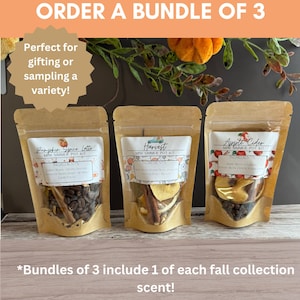May include: Three small brown pouches with labels that read "Pumpkin Spice Latte", "Harvest", and "Apple Cider". Each pouch contains ingredients for a simmer pot kit. The text "*Bundles of 3 include 1 of each fall collection scent!" is at the bottom of the image.