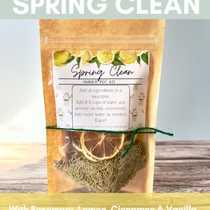 Spring Collection Simmer Pot Kits Stovetop Potpourri Dried Fruits, Spices, Herbs Individual Kit Spring Clean