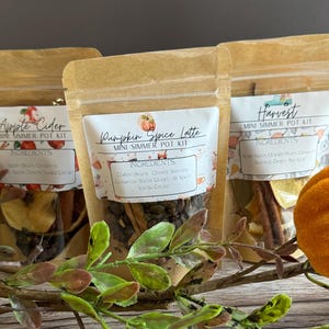 May include: Three brown paper bags with labels and ingredients for simmer pot kits. The labels read "Apple Cider", "Pumpkin Spice Latte", and "Harvest". The bags contain dried fruit, spices, and other ingredients.