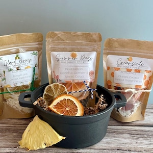 May include: Three brown paper pouches labeled Island Breeze, Summer Daze, and Creamsicle Mini Simmer Pot Kits, containing dried fruit and botanicals. A black cast iron pot sits in front, filled with dried orange slices and wood shavings.