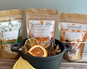 Summer Simmer Pot Kit: Mini Bundle of 3 Scents (Dried Fruits, Spices, Herbs, stovetop potpourri)