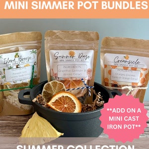 Summer Simmer Pot Kit Bundle: Dried Fruits, Spices, Herbs, stovetop potpourri, gift