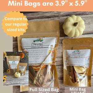 May include: Two brown paper bags with a clear window, containing a simmer pot kit. The smaller bag is labeled "Harvest Mini Simmer Pot Kit" and measures 3.9 inches by 5.9 inches. The larger bag is labeled "Harvest Simmer Pot Kit" and measures 5 inches by 8 inches. Both bags contain ingredients like cinnamon sticks, orange peels, and apple slices.