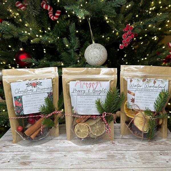 Holiday Simmer Pot Kits - Stovetop Potpourri - Dried Fruits, Spices, Pine