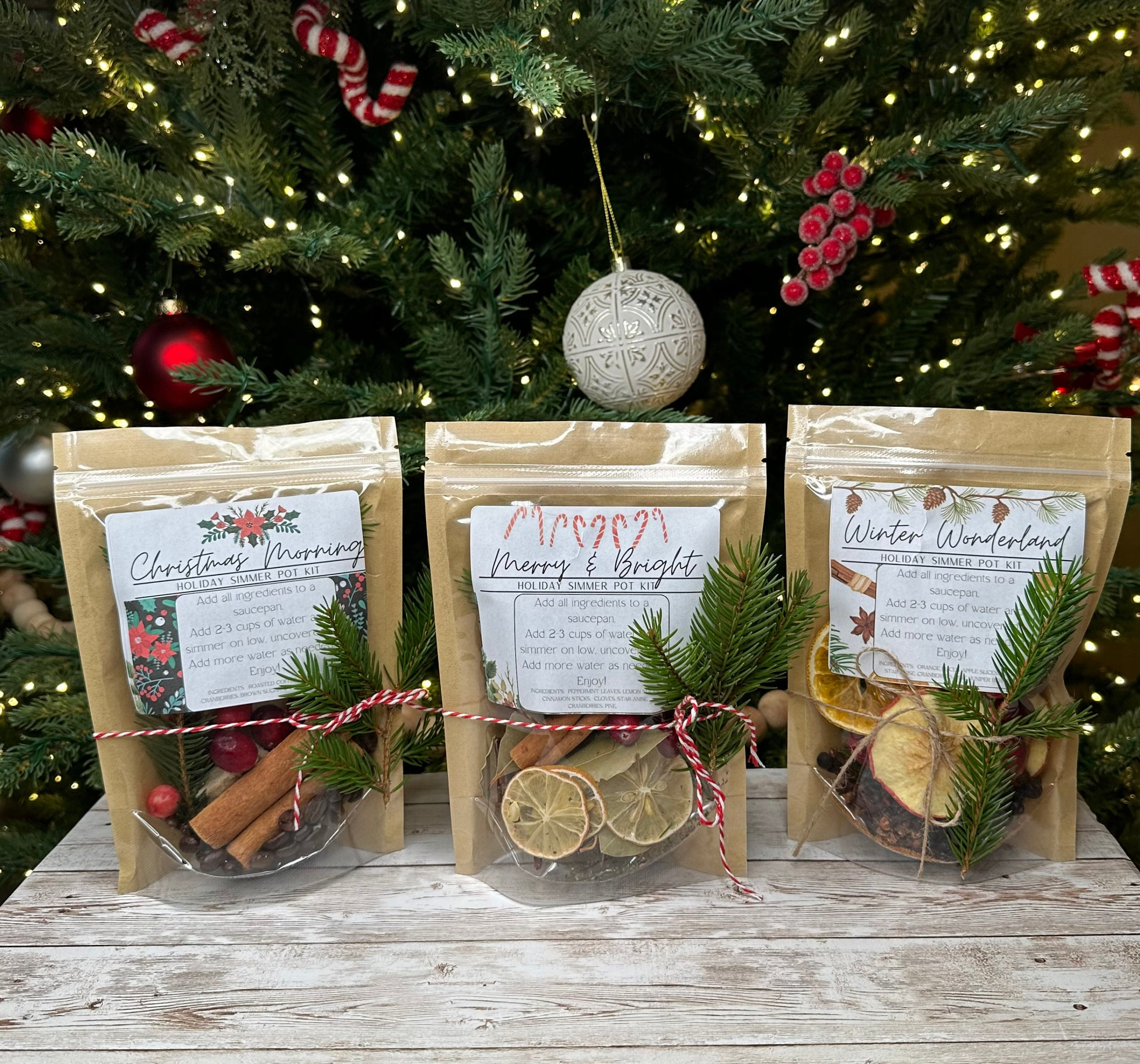 Winter Fragrance Oil Set, Premium Holiday Essential Oils for Diffuser and  Candle Making - Christmas Wreath, Gingerbread, Apple Cider, Cranberry