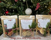 Holiday Simmer Pot Kits - Stovetop Potpourri - Dried Fruits, Spices, Pine
