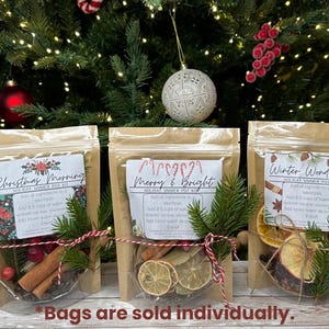 Holiday Simmer Pot Kits - Stovetop Potpourri - Dried Fruits, Spices, Pine