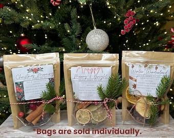 Holiday Simmer Pot Kits - Stovetop Potpourri - Dried Fruits, Spices, Pine