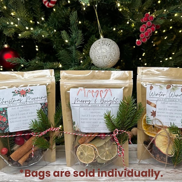 Kits de ollas de cocción lenta para las fiestas: popurrí para cocinar en la estufa: frutos secos, especias y pino.