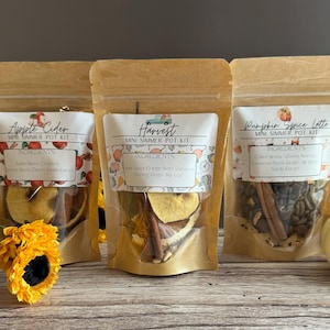 May include: Three brown paper bags with clear plastic windows containing mini simmer pot kits. The bags are labeled "Apple Cider", "Harvest", and "Pumpkin Spice Latte". Each bag contains a variety of ingredients, including dried fruit, spices, and herbs.