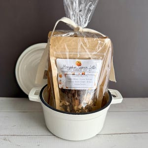 Fall Simmer Pot Kit: Mini Bundle of 3 Scents (Dried Fruits, Spices, Herbs, stovetop potpourri) Set of 3 + White Pot