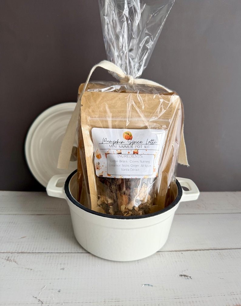 Fall Simmer Pot Kit: Mini Bundle of 3 Scents (Dried Fruits, Spices, Herbs, stovetop potpourri) Set of 3 + White Pot