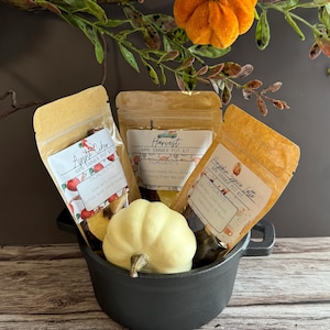 May include: Three small bags of simmer pot kits in a black cast iron pot. The bags are labeled "Apple Cider", "Harvest", and "Pumpkin Spice Latte". The pot is sitting on a wooden surface with a small white pumpkin in front of it.