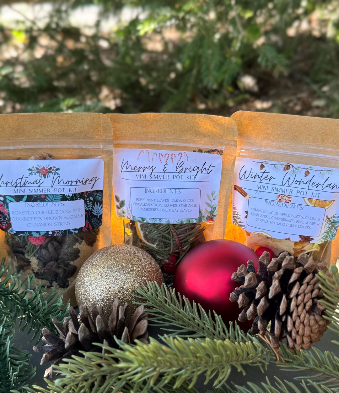 Holiday Mini Simmer Pot Kit Bundle of 3 Scents: Christmas Gift ...