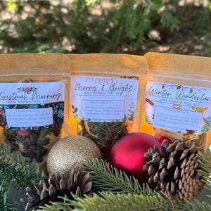 May include: Three mini simmer pot kits in clear pouches, labeled "Christmas Morning", "Merry & Bright", and "Winter Wonderland". The kits are surrounded by pine needles, pine cones, and Christmas ornaments. The "Christmas Morning" kit includes coffee beans and cinnamon sticks.