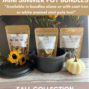 Fall Mini Scent Simmer Pot Kit Bundle: Apple Cider, Pumpkin Spice, Harvest, gift