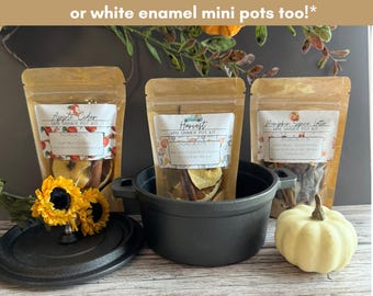 Fall Simmer Pot Kit: Mini Bundle of 3 Scents (Dried Fruits, Spices, Herbs, stovetop potpourri)