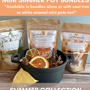Summer Simmer Pot Kit Bundle: Dried Fruits, Spices, Herbs, stovetop potpourri, gift