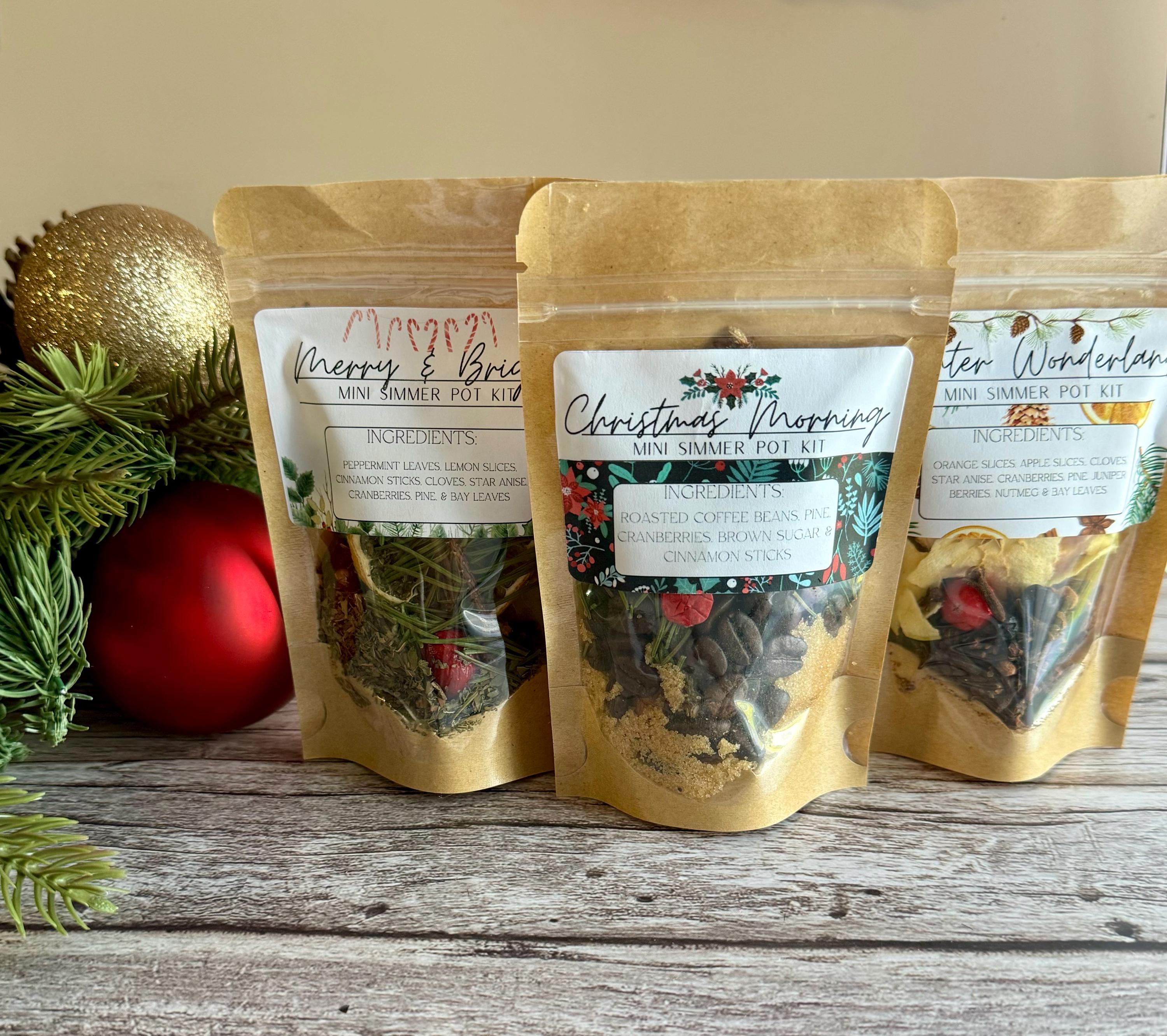Holiday Mini Simmer Pot Kit Bundle of 3 Scents: Christmas Gift ...