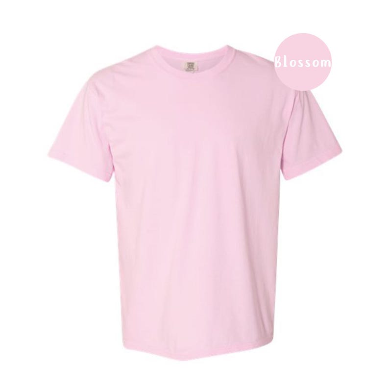 Pode incluir: Uma t-shirt de manga curta em rosa claro liso com decote redondo. A pe&ccedil;a apresenta uma pequena etiqueta na gola interior e um gr&aacute;fico circular rosa no canto superior direito contendo o texto branco Blossom numa fonte simples sem serifa.