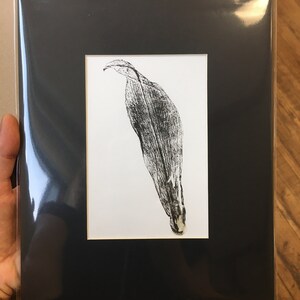 Lily Leaf Print