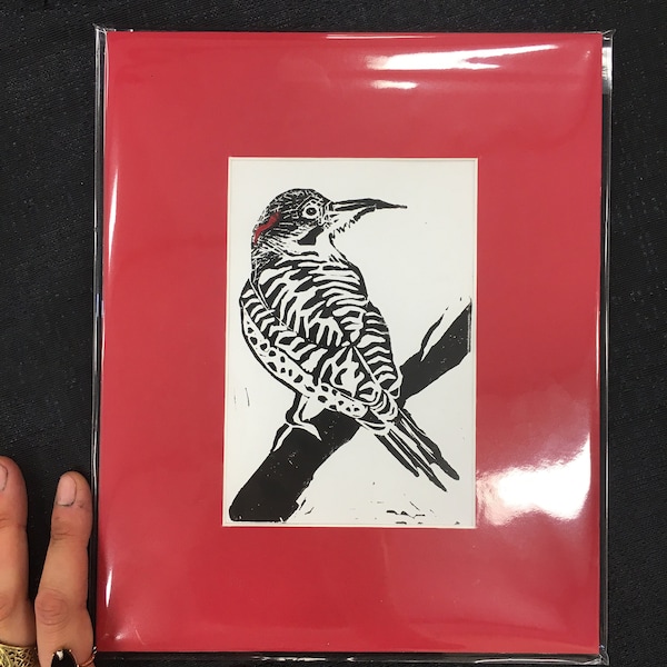 Northern Flicker Print