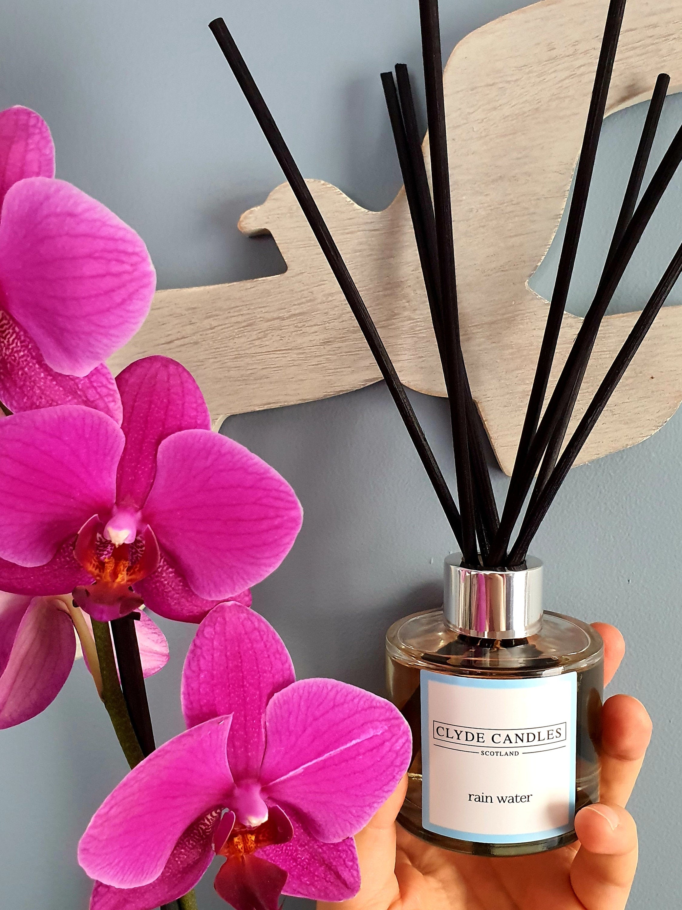 Rain Water Rain Water Reed Diffuser Clyde Candles, Luxury Diffuser Oil ...