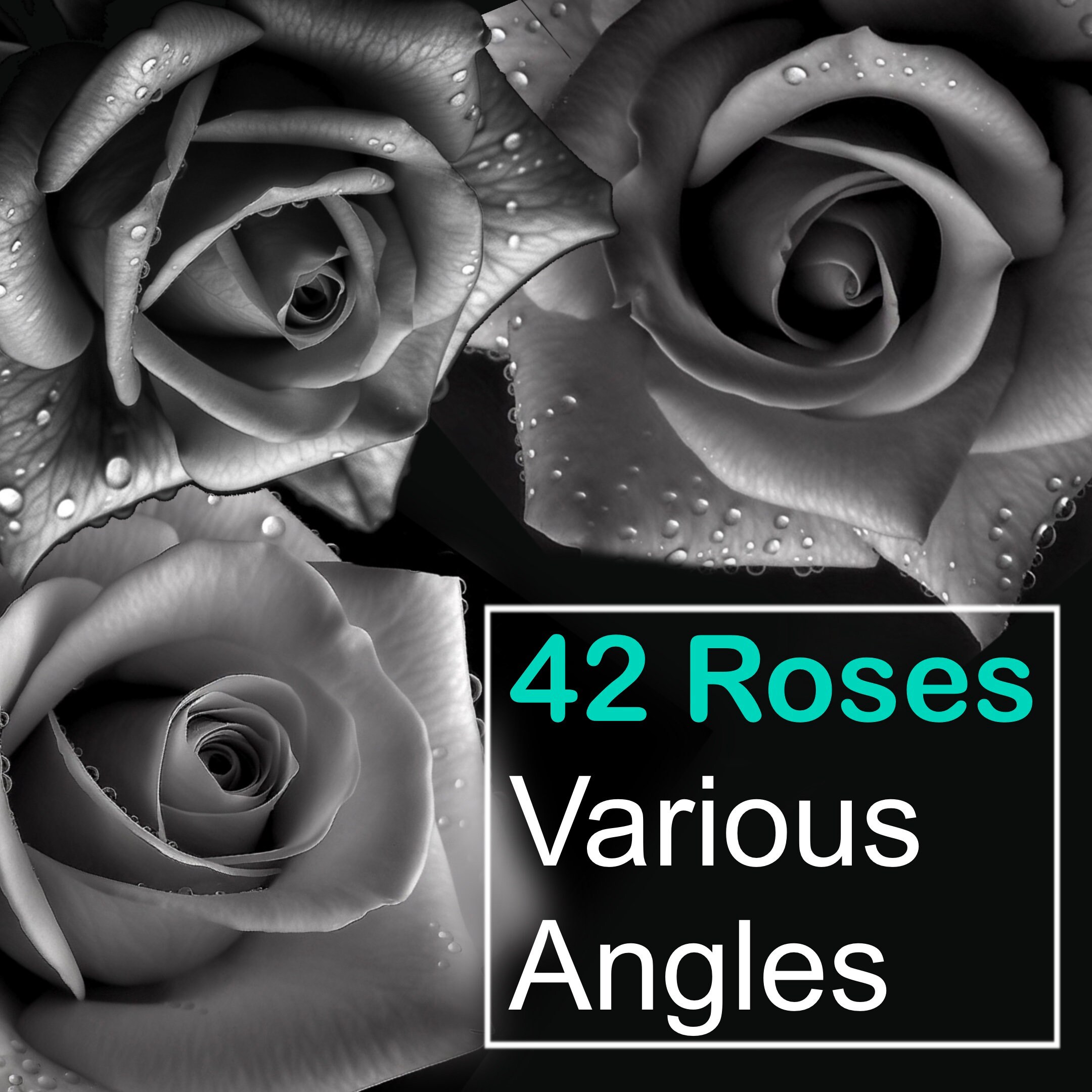 Rose Reference Book - Etsy