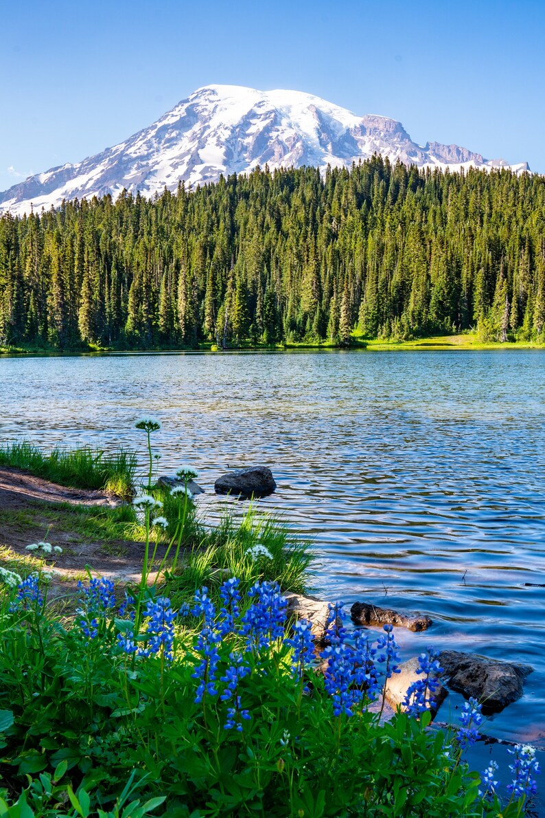 Mount Rainier National Park Reflection Lake Print Digital Etsy