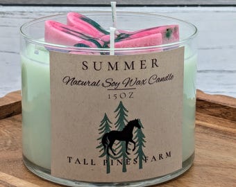 Vela de soja, cilindro de vidrio, vertida a mano, aroma de verano, decoración del hogar, regalo