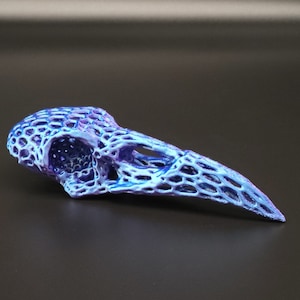 Raven Skull Home Decor room decoration