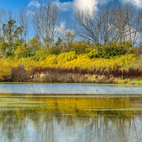 Bird Sanctuary | Water Fowl Preserve | Nature Conservatory | Wildlife Refuge | Fall Foliage | Solace | A Quiet Place | Calming to the Soul