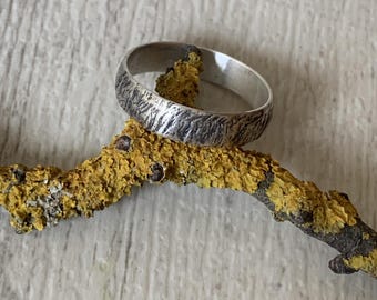 Könnte beinhalten: Ein silberner Bandring mit einer strukturierten Oberfläche. Der Ring liegt auf einem Zweig mit gelbem Flechtenbewuchs.