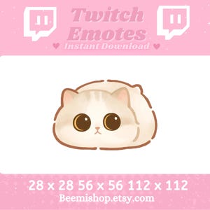 Puede incluir: Una ilustración de dibujos animados de un gato blanco y beige con grandes ojos marrones. El gato está enroscado en una bola y tiene una expresión linda en su rostro. La imagen está disponible en tres tamaños: 28 x 28 píxeles, 56 x 56 píxeles y 112 x 112 píxeles. La imagen es para usar como emote de Twitch.