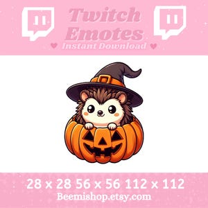 Hedgehog Witch In A Pumpkin Halloween Spooky Scary Happy Adorable Twitch Discord Emote Stream Animal Youtube Cute Chibi Baby