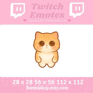 Peut inclure: Un mignon chat de dessin animé orange et blanc avec de grands yeux. Le chat est debout sur un fond blanc. L'image est pour les émoticônes Twitch et est disponible en tailles 28x28, 56x56 et 112x112 pixels. Beemishshop.etsy.com