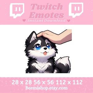 Puede incluir: Un cachorro de husky de dibujos animados en blanco y negro con ojos azules está siendo acariciado por una mano. El cachorro está mirando hacia arriba con una expresión feliz. La imagen es para un emote de Twitch.